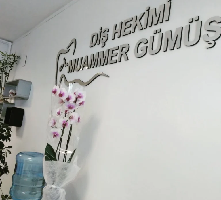 Dis Hekimi Muammer gumus